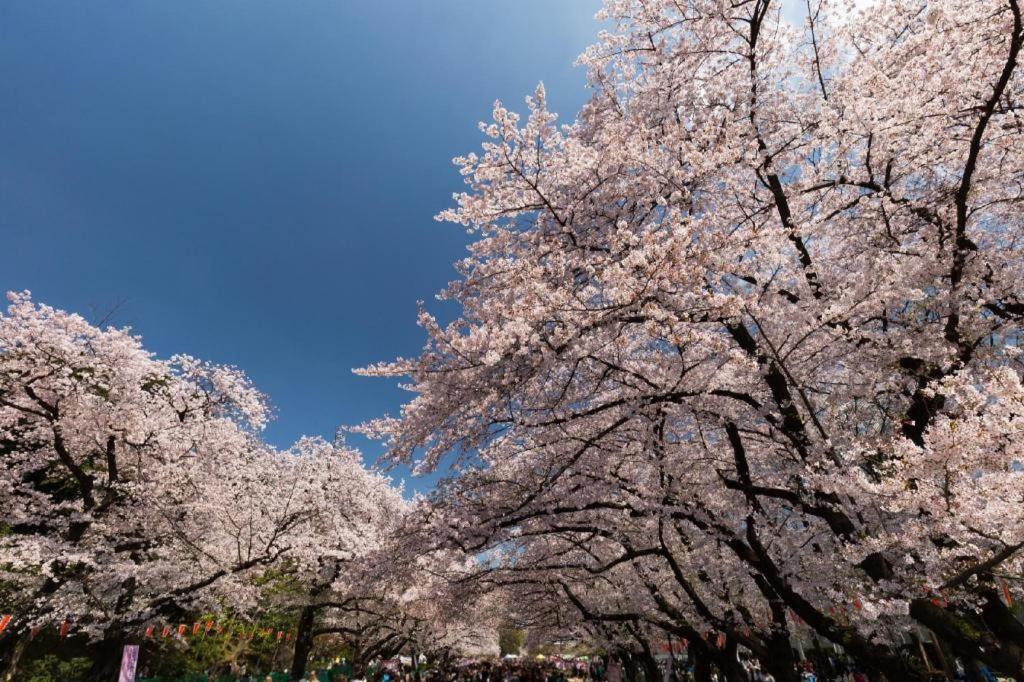 Hotel Bougainvillea Minowa Tokyo Ngoại thất bức ảnh